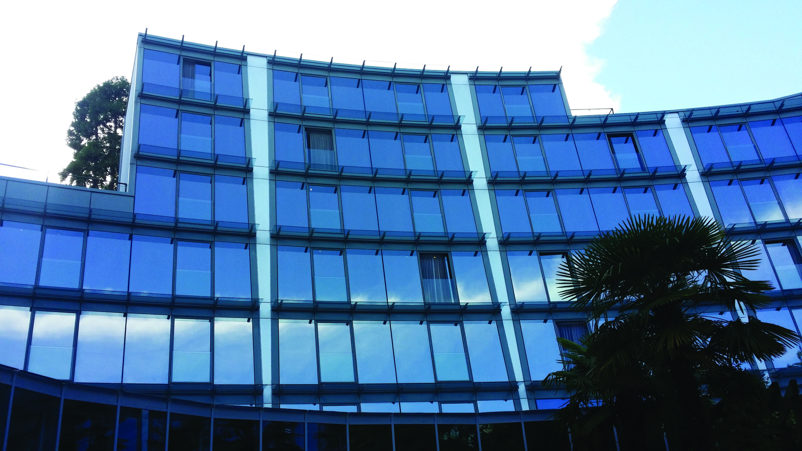 Alpa Palmiers by Fassbind, Lausanne